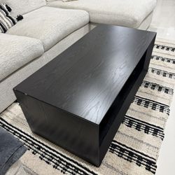 Modern Black Coffee Table with Storage Shelf