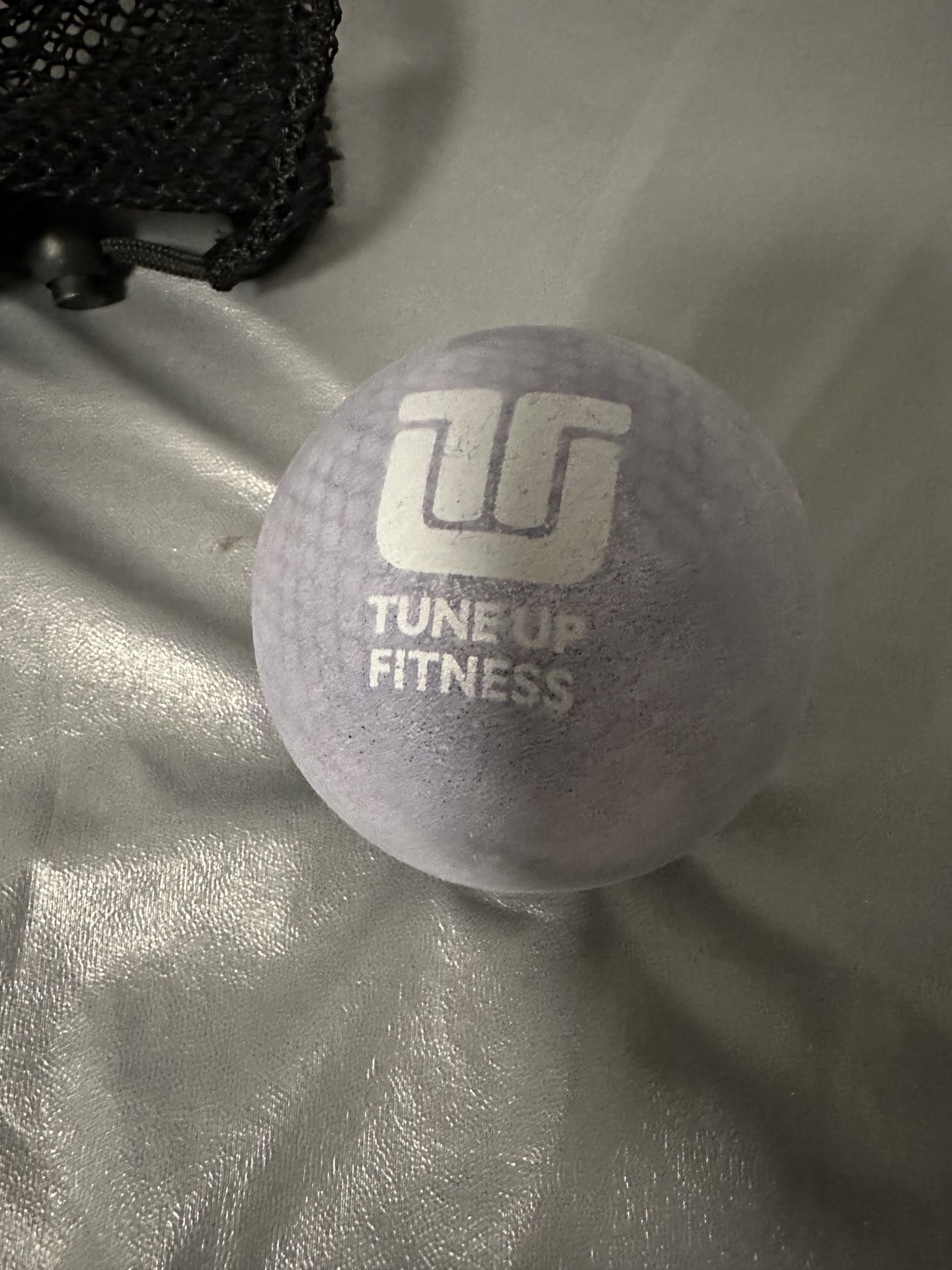 2 Tune Up Fitness Balls