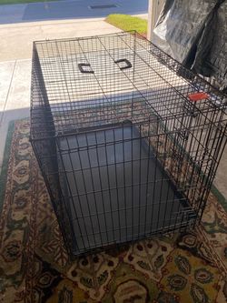 Large dog cage 48” long by 30” depth 32” H