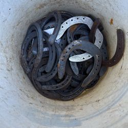 Bucket Of Horse Shoes 