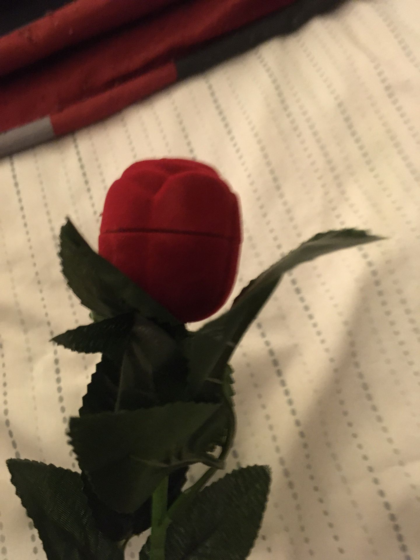 Red Rose πΉ Ring Case Wedding Gift π