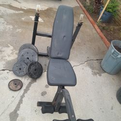 Bench And Weights For Sale