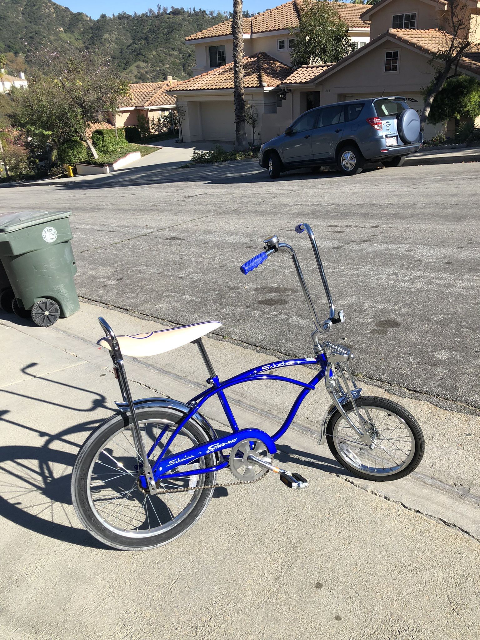 Schwinn Stingray Bike 