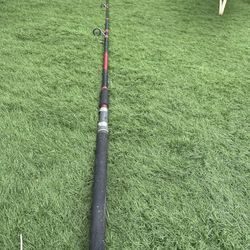Fishing pole 