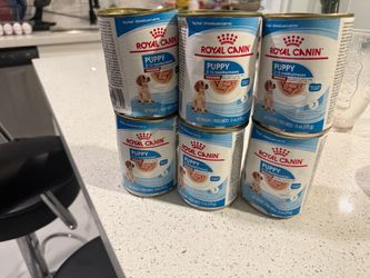 Food for puppies
