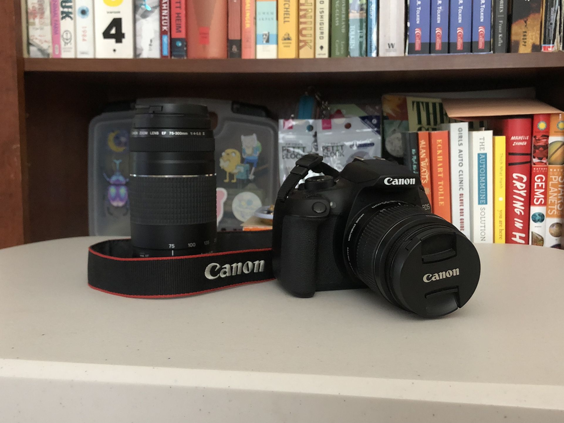 Canon EOS Rebel T6 DSLR and 75-300mm f/4-5.6 III Telephoto Lens