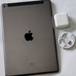 iPad 6 , Sixth Generation  , Unlocked  Cellular and iCloud , Wi-Fi  Internet, Excellent Condition,  Usable all Company  Sim