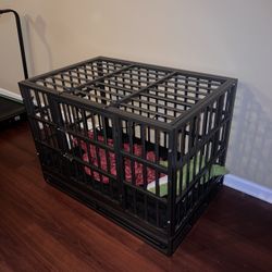 Large Breed Kennel