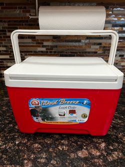 Igloo Island Breeze 9 Quart Lunch Cooler