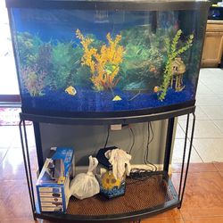 40 Gal. Fish Tank With Stand