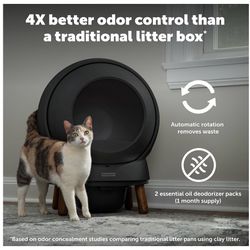 Cat Litter 