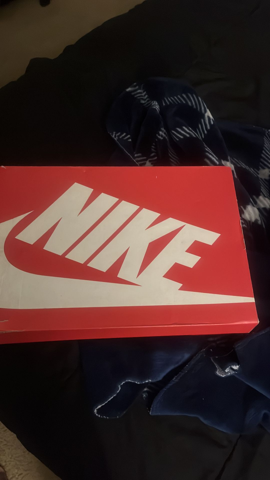 Miami hurricanes dunks size 9.5