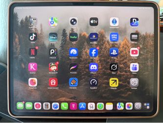 iPad Pro (M5) 13” Cellular+WiFi