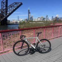 throne fixie