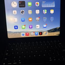 iPad Pro 11”(M4) 256GB  
