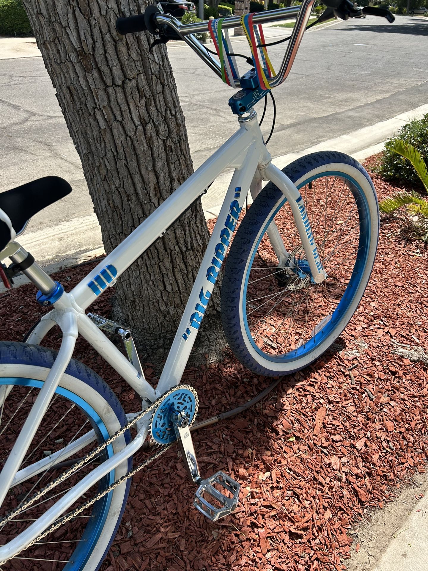 2025 Big Ripper Se Bike.