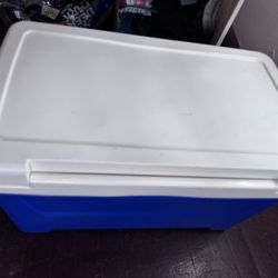 Cooler