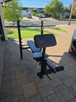 Pro bench with bar, weights, leg extension, leg curl, and preacher curl
