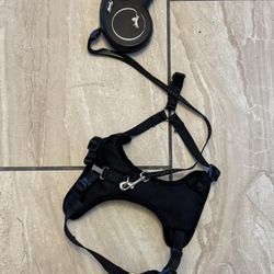 Small Dog Harness 