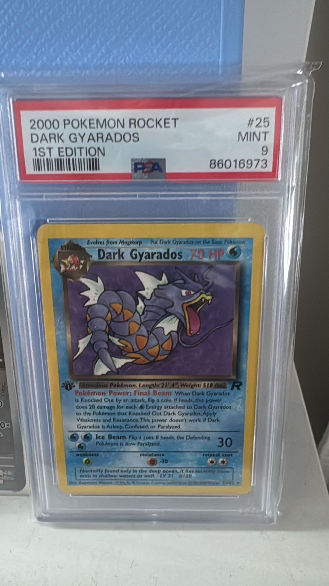 Dark Gyarados 1st Edition