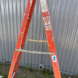 6 Foot Ladder 