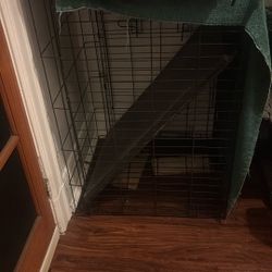 Dog Cage 