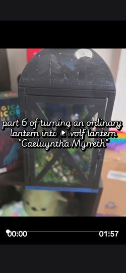 Caeluyntha Myrreth — “Wolf of the Silver Moons”
One-of-a-Kind Handcrafted Illuminated Art Lantern — $225

Caelunytha Myrreth, meaning “Wolf of the Sil