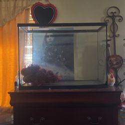 Fish Tank For Fishes 