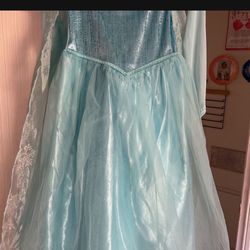 Princess Dresses 