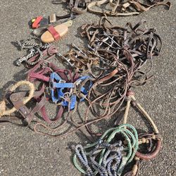 Horse And Pony Tack,  Bridles, Leads , Misc.