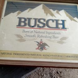 Vintage Busch Mirror