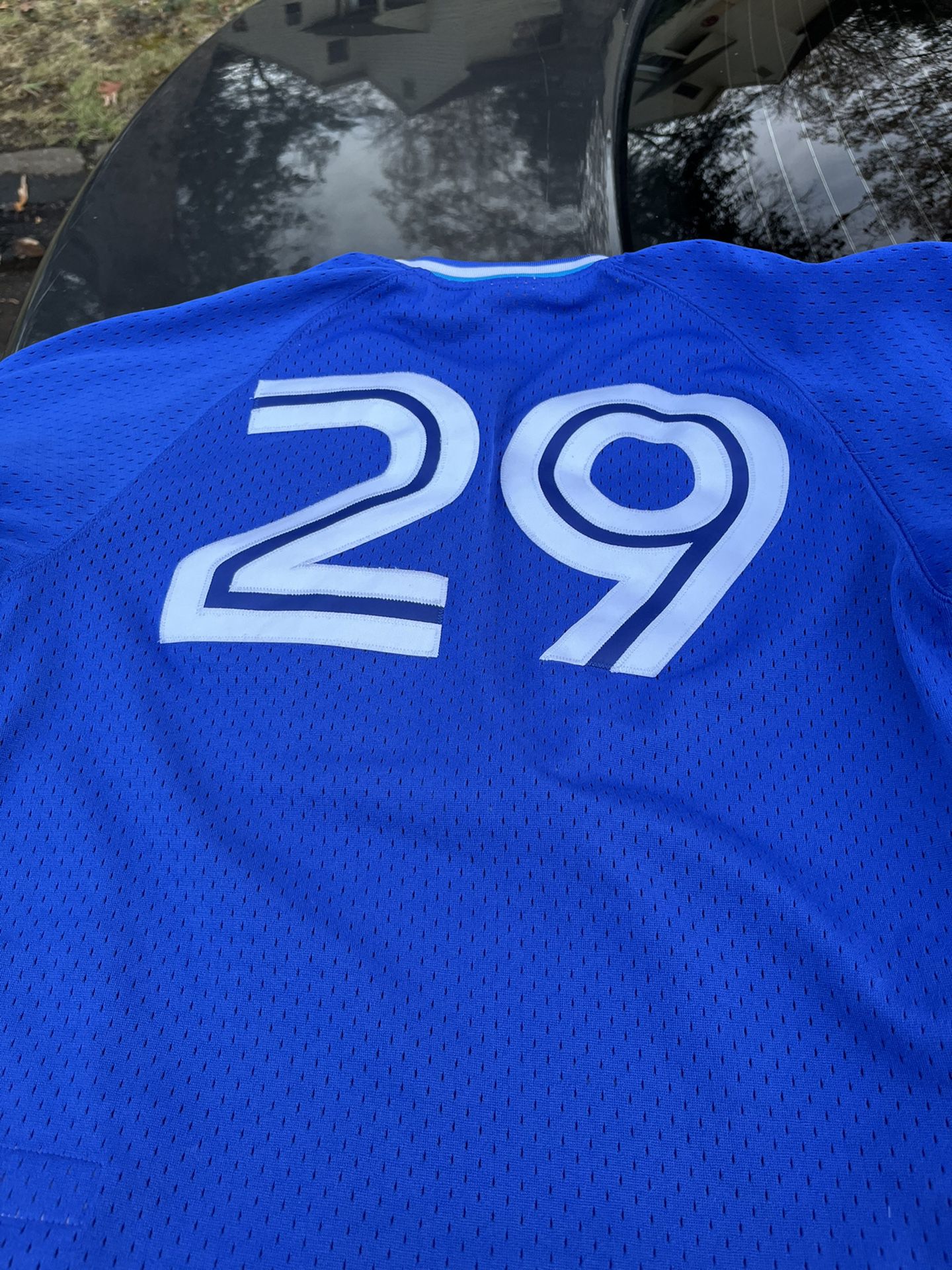 Authentic Mitchell & Ness Toronto Blue Jays #29 Baseball