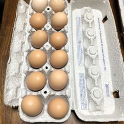 Free Range Farm Fresh Eggs