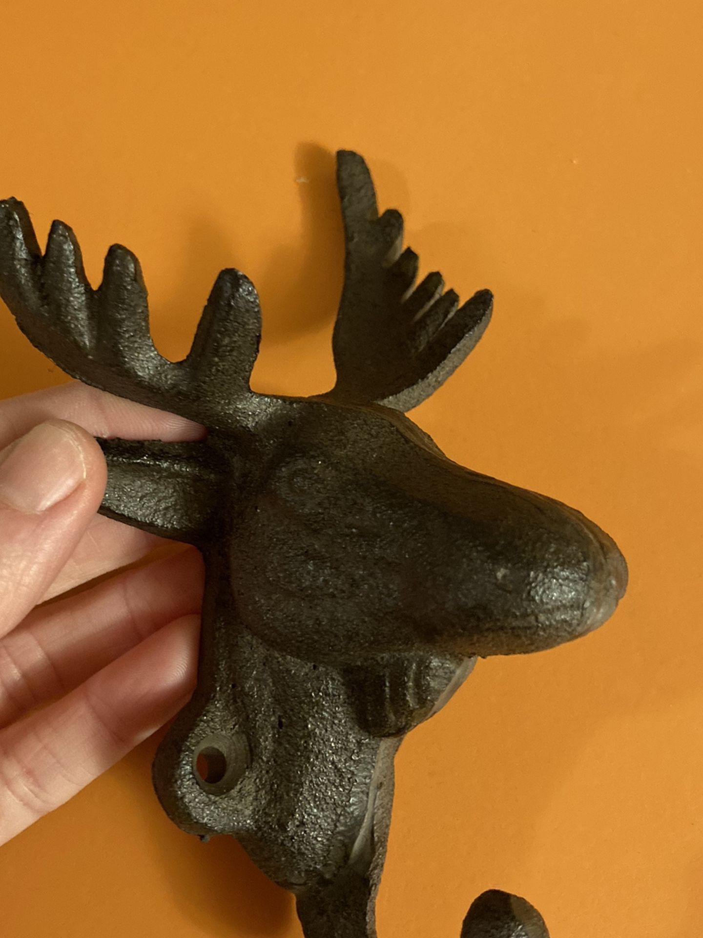 Cast Iron Moose Head Hook 