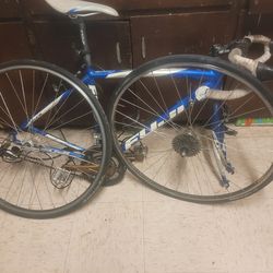 2012 Fuji Newest 4.0