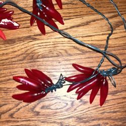 Red hot Chilli peppers 25 Lights