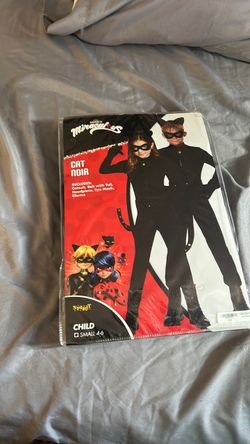 Miraculous cat noir