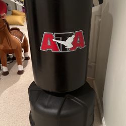 Punching Bag