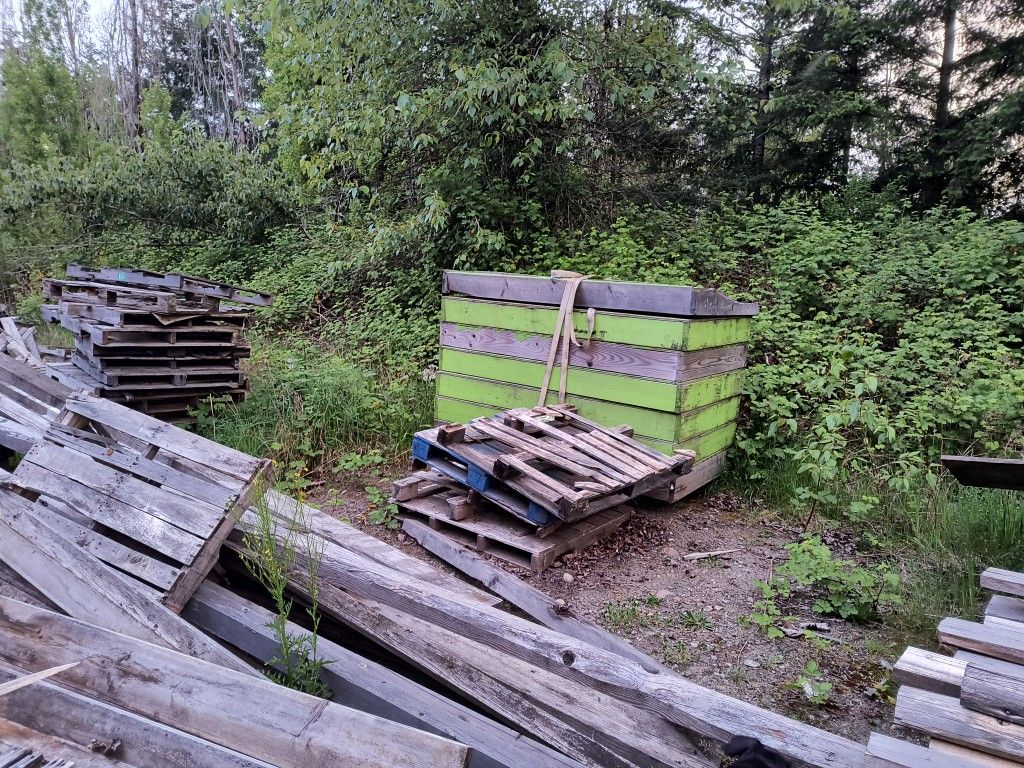 Free Wood