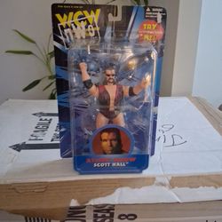 Scott Hall Figure 