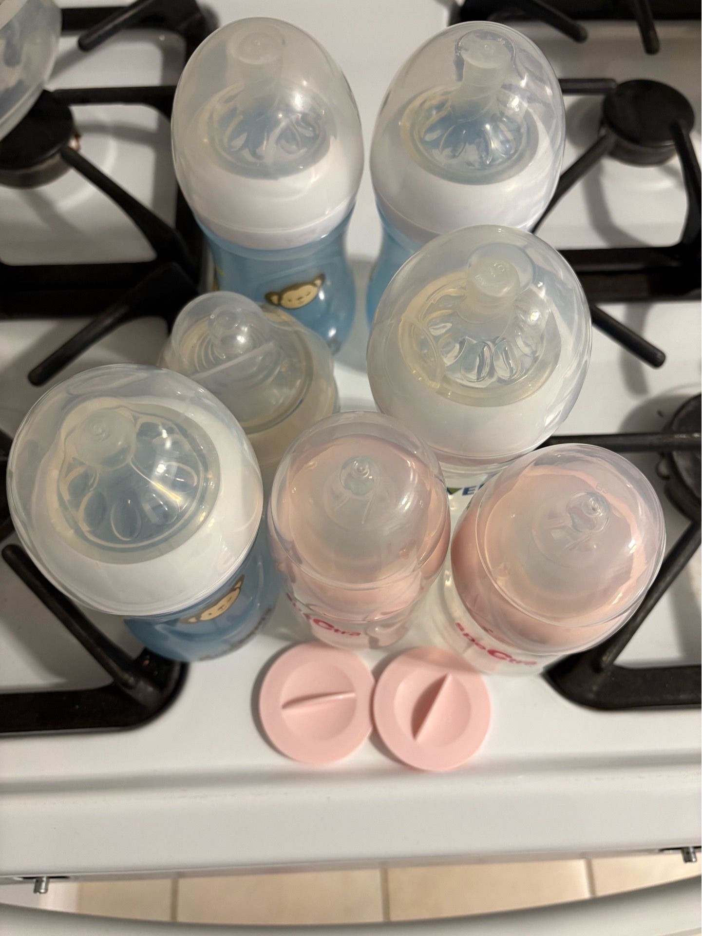 Bottles 7