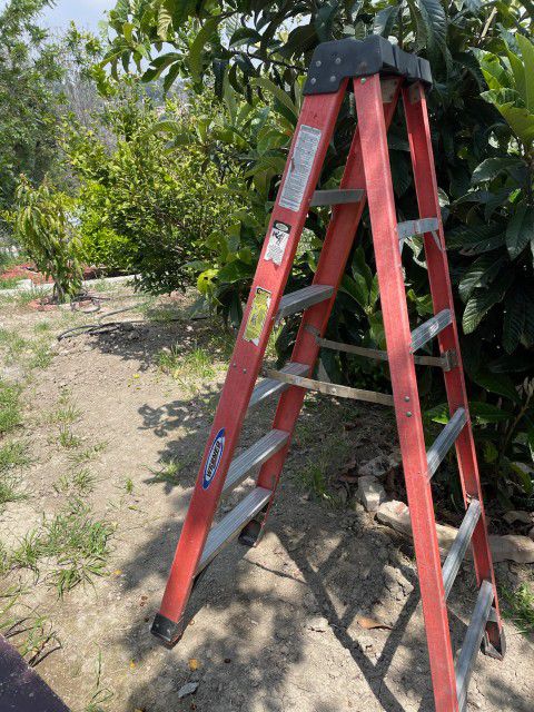 Fiberglass Ladder 6 Ft & 8 ft