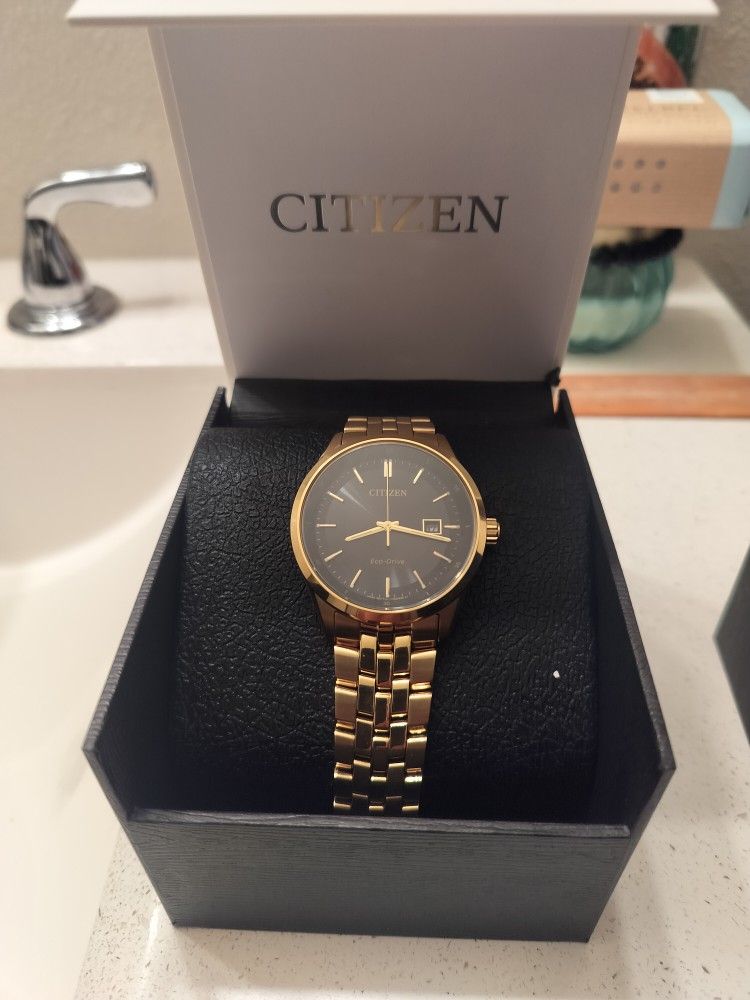Citizen Men's Eco-Drive