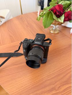 Sony 7III with Sony 50mm 1.8
