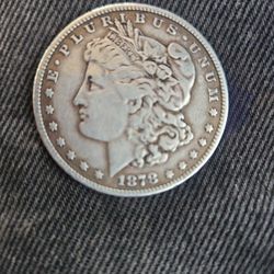 Dollar Coin 1878