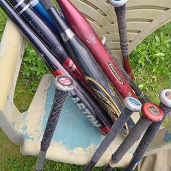 Baseball and softball bats.