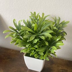 Small, Fake Plant