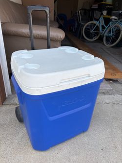 Igloo cooler