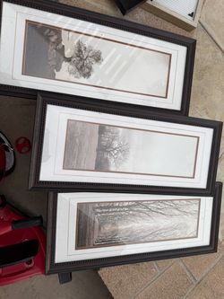 3 picture photo