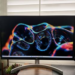 LG 27UL500 HDR 4k 60 Hz Monitor